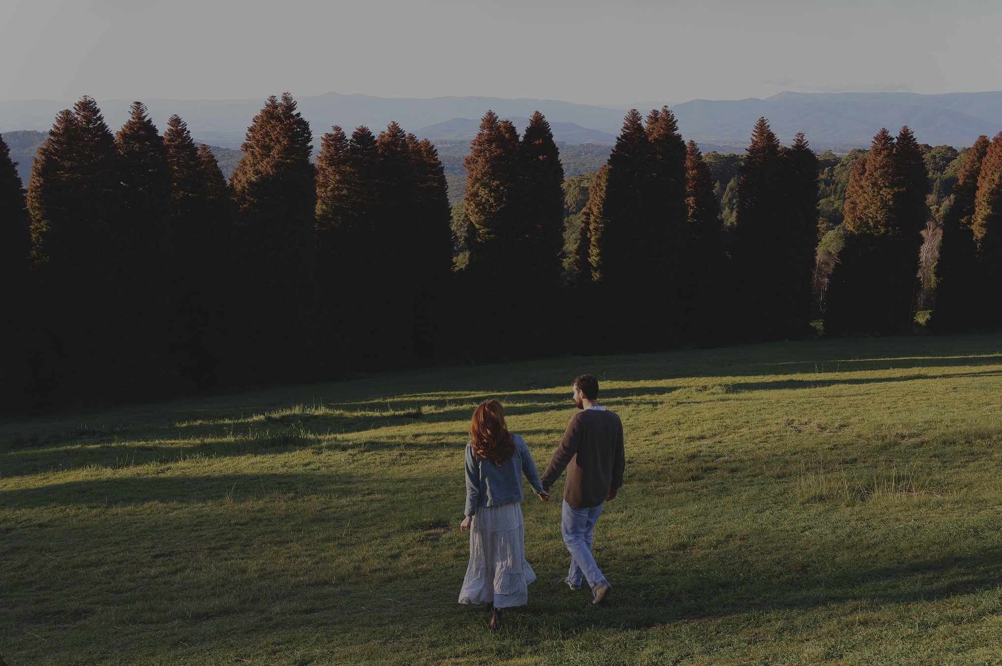 Hamish and Steph walking hand-in-hand through a meadow toward the trees